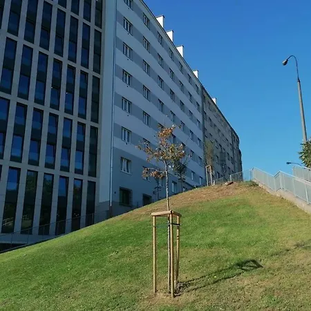 Apartament New In Heart Of Warszawa